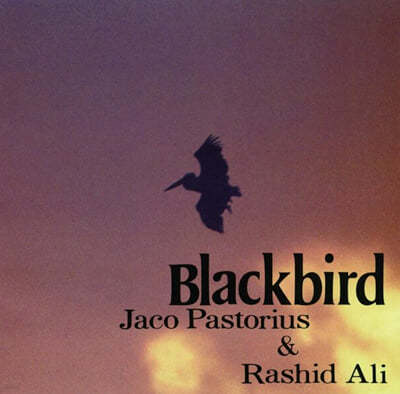 Jaco Pastorius / Rashid Ali - Blackbirds 