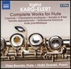 Thies Roorda 카르그-엘러트: 플루트를 위한 작품 전곡집 (Sigfrid Karg-Elert: Complete Works for Flute)