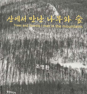 산에서 만난 나무와 숲