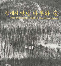 산에서 만난 나무와 숲
