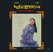 김추자 - 님은 먼 곳에 [LP]