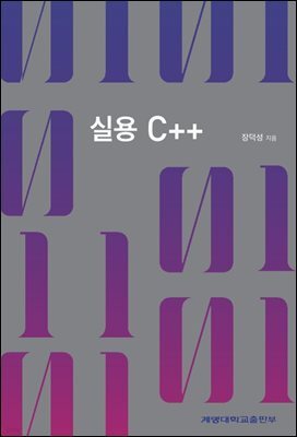 실용 C++