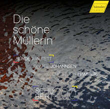Daniel Johannsen 슈베르트: 아름다운 물방앗간 아가씨 (Schubert: Die schone Mullerin)