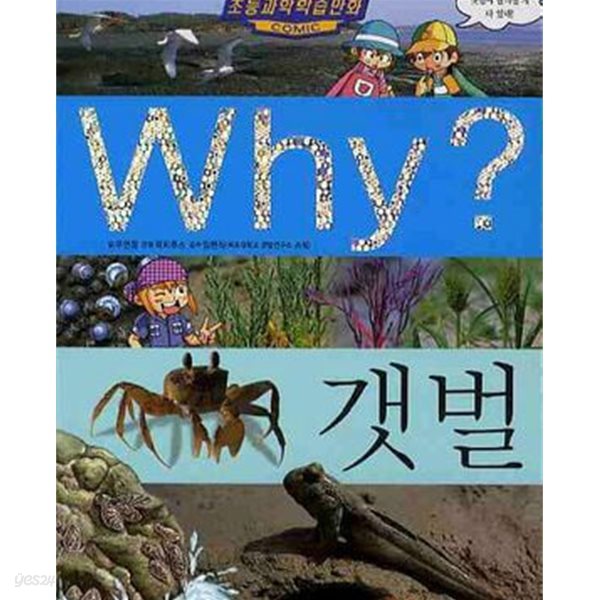 Why? 갯벌