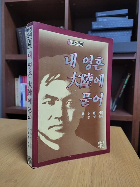 내 영혼 대륙에 묻어 (백산문예) (1986 초판)