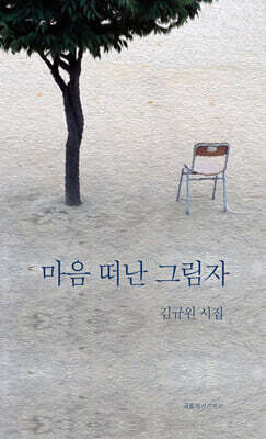 마음 떠난 그림자