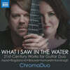 ChromaDuo 기타 이중주를 위한 21세기 작품들 (What I Saw In The Water)