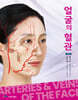 얼굴의 혈관