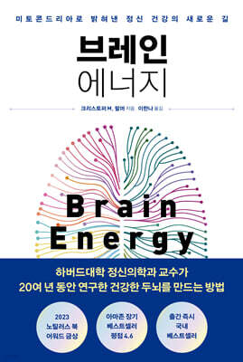 브레인 에너지