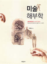 미술해부학