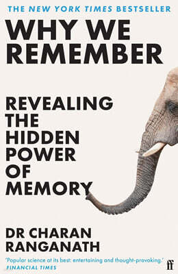 Why We Remember