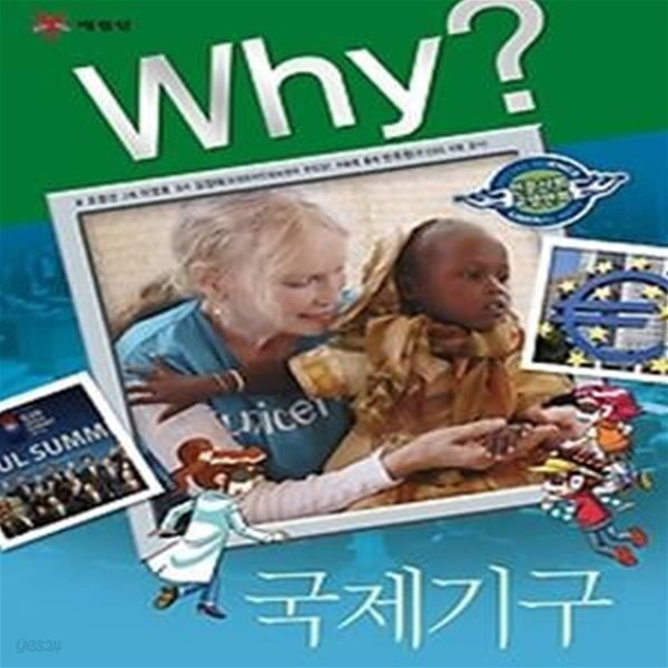 Why? 국제기구