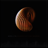Marillion - Sounds That Can't Be Made (Gatefold Cover)(2LP)