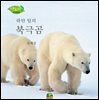 하얀털의 북극곰