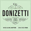 Nicola Alaimo / Carlo Rizzi 도니제티: 가곡 2집 (Donizetti: Songs Vol. 2)
