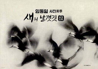 새의 날개짓
