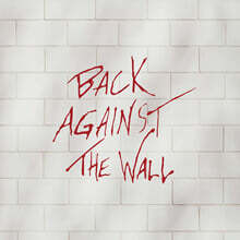 핑크 플로이드 The Wall 헌정 음반 (Back Against The Wall [투명 컬러 2LP]
