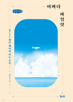 어쩌다 파일럿 (큰글자책)