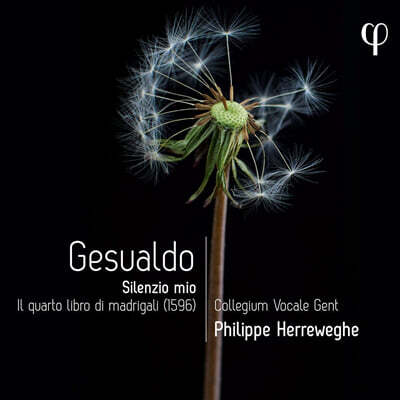 Philippe Herreweghe 제수알도: 마드리갈 4권 - 침묵 속에서 (Gesualdo: Silenzio Mio. Il Quarto Libro Di Madrigali)