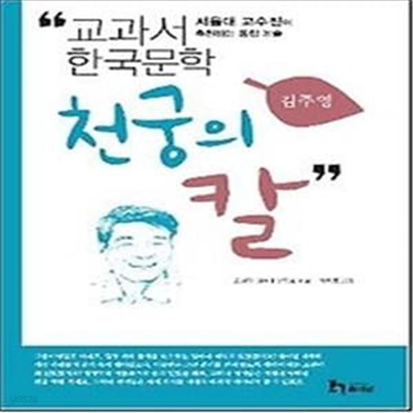 김주영 9 - 천궁의 칼