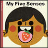 Spring Street All about Us: My Five Senses