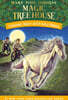 Magic Tree House #39 : Windy Night with Wild Horses