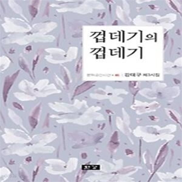 껍데기의 껍데기