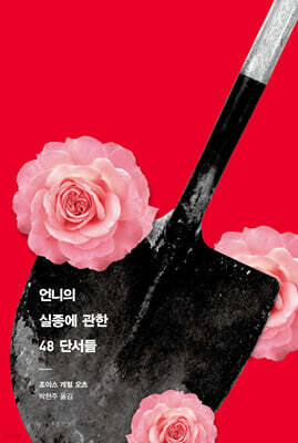 언니의 실종에 관한 48 단서들