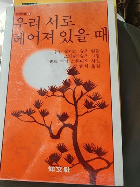 우리 서로 헤어져 있을 때 수잔 폴리스 슈츠 장말희 지문사