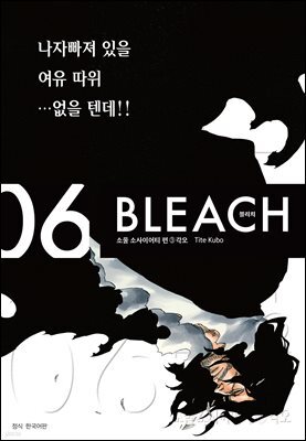 블리치 리믹스 06권