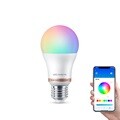 필립스 위즈 컬러 앰비언스 LED 스마트 전구