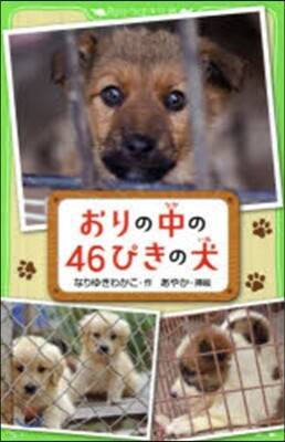おりの中の46ぴきの犬