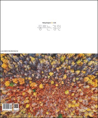 동트는 강원 145호