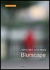 사진작가 이준식 교수의 작품세계- Blurscape
