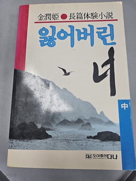 잃어버린 너 (중) 김윤희 장편체험소설