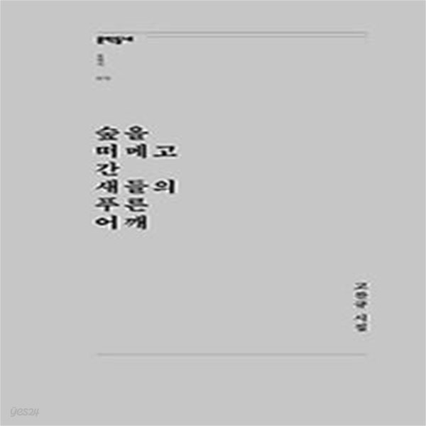 숲을 떠메고 간 새들의 푸른 어깨