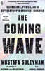 The Coming Wave (Export Edition)