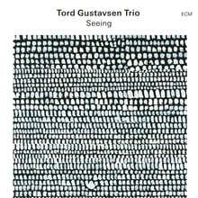 Tord Gustavsen Trio (토드 구스타브센 트리오) - Seeing [LP]