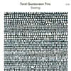 Tord Gustavsen Trio (토드 구스타브센 트리오) - Seeing [LP]