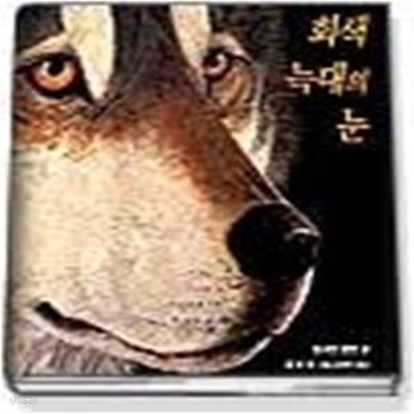 회색 늑대의 눈