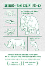 코끼리는 암에 걸리지 않는다