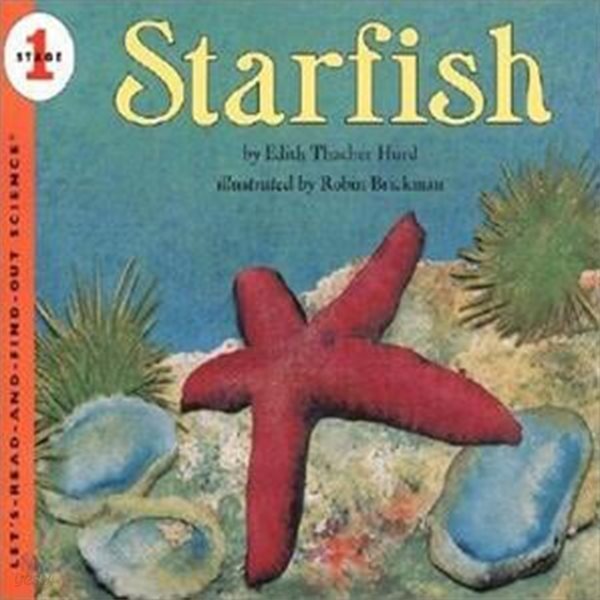 [중고-상] Starfish