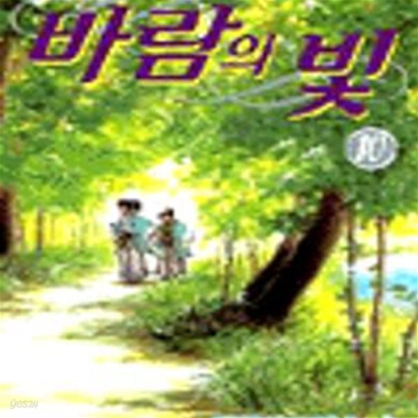 바람의 빛 10권 (風光る)