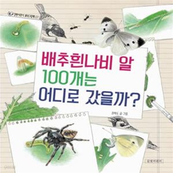 배추흰나비 알 100개는 어디로 갔을까?