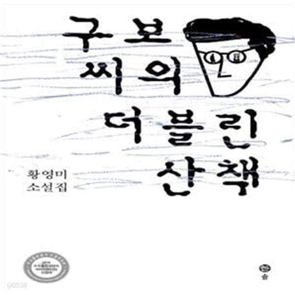 구보씨의 더블린 산책 (황영미 소설집)