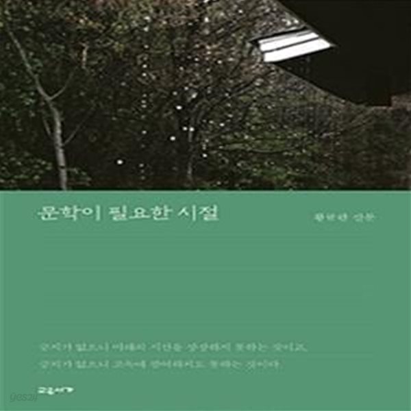 문학이 필요한 시절 (황규관 산문)