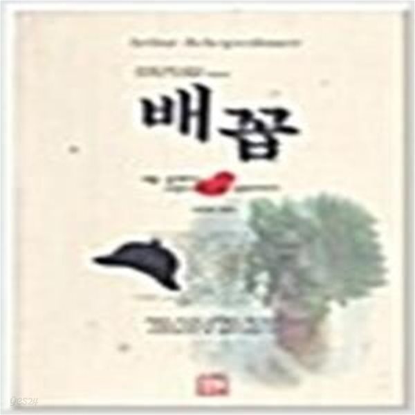 배꼽(둘째마당 쇼펜하우어외 철학이야기)[33-977Q]