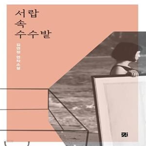 서랍 속 수수밭 (김연정 연작소설)