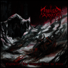 Moonlight Sorcery - Nightwind: The Conqueror From The Stars (LP)