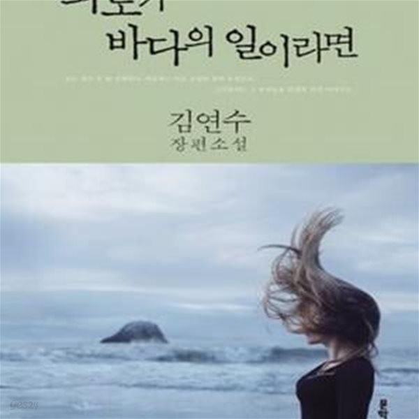 파도가 바다의 일이라면 (김연수 장편소설)